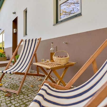 Solar Da Castanha - Forest House Мантейгас Экстерьер фото