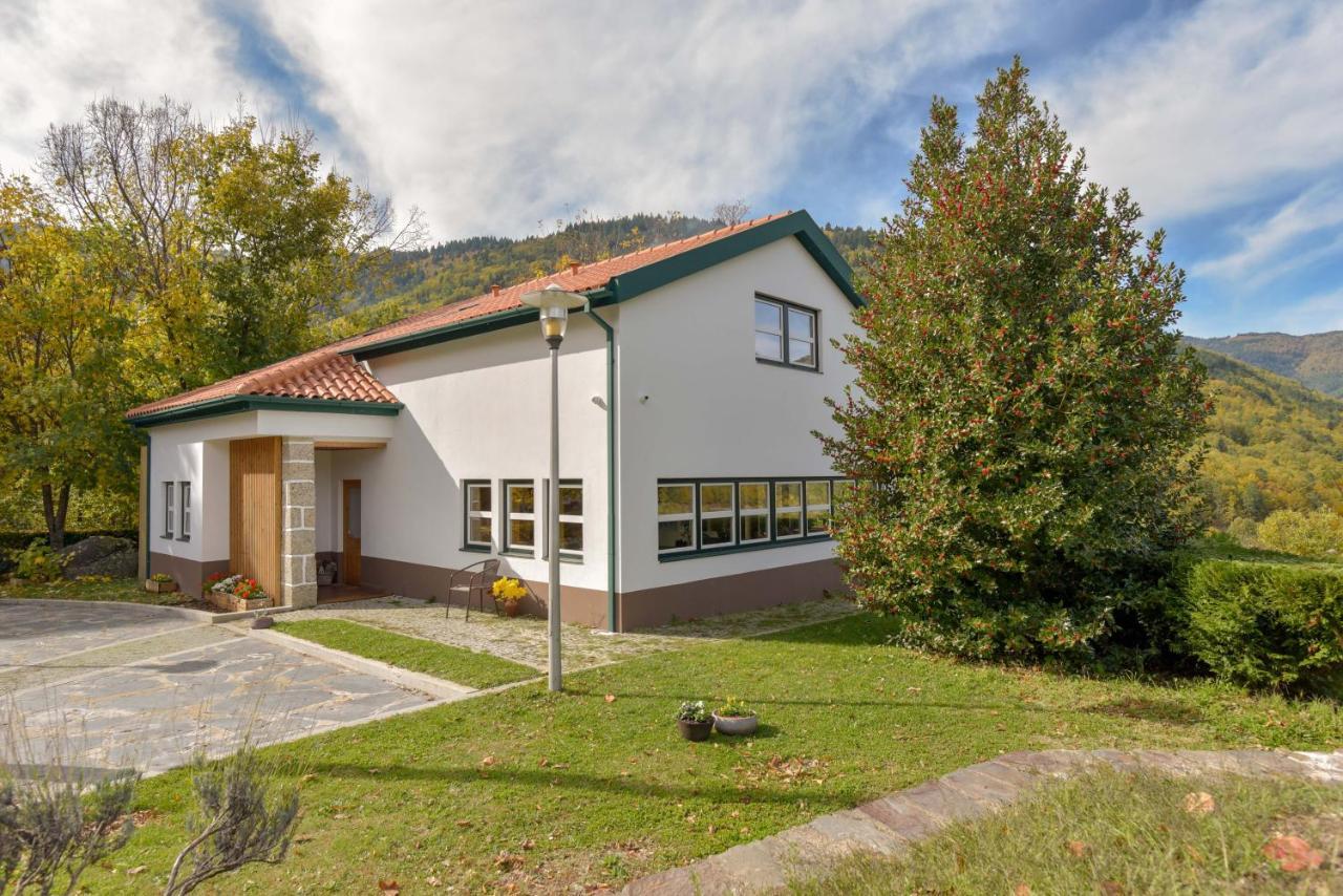 Solar Da Castanha - Forest House Мантейгас Экстерьер фото