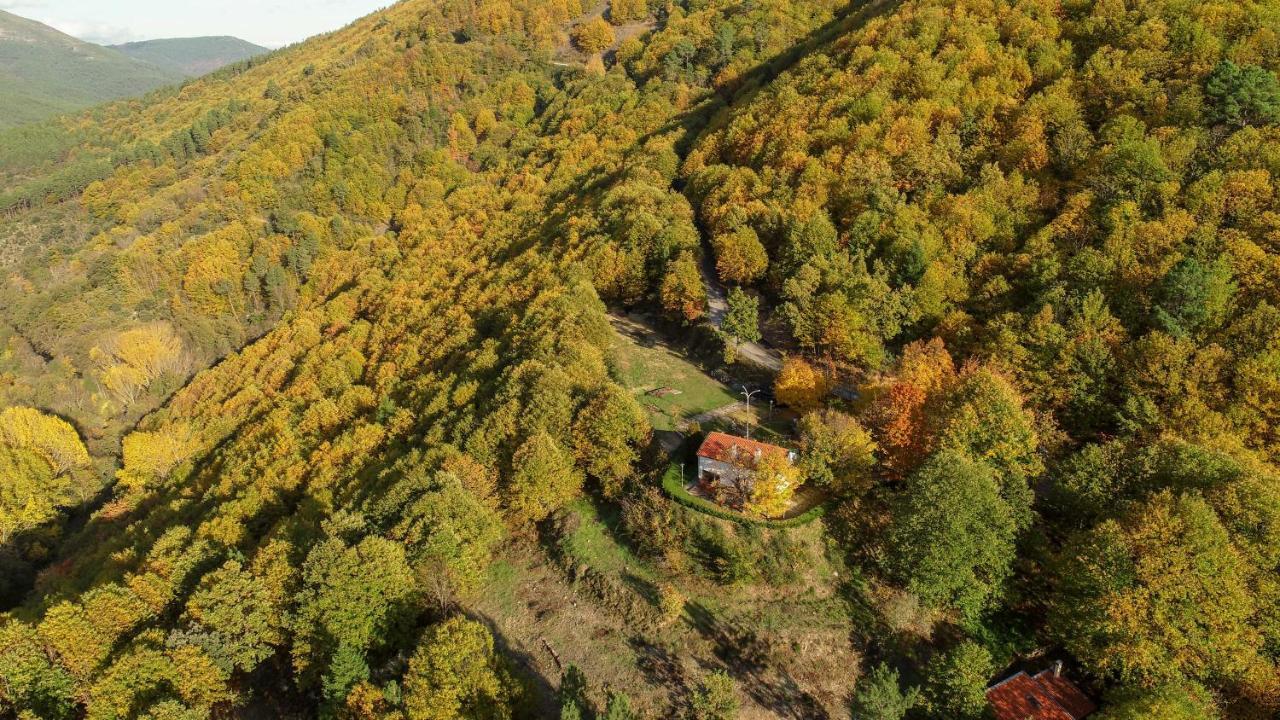 Solar Da Castanha - Forest House Мантейгас Экстерьер фото
