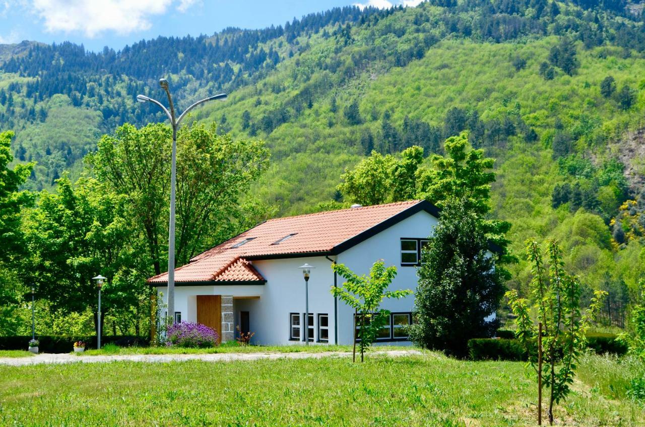Solar Da Castanha - Forest House Мантейгас Экстерьер фото