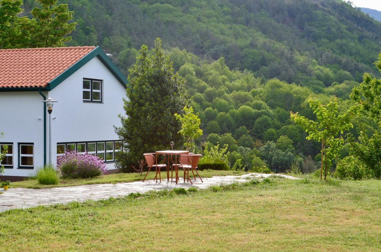 Solar Da Castanha - Forest House Мантейгас Экстерьер фото