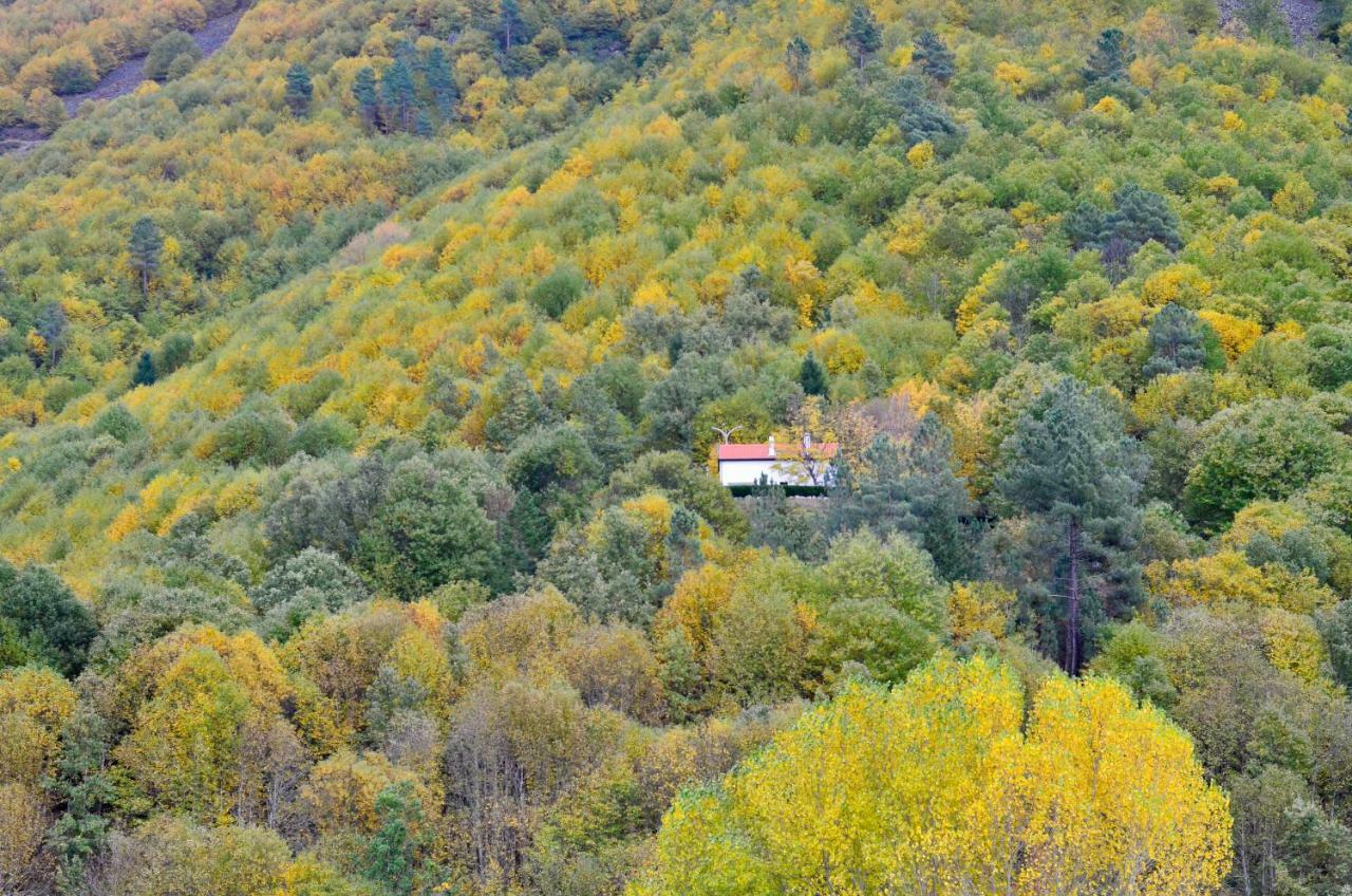 Solar Da Castanha - Forest House Мантейгас Экстерьер фото