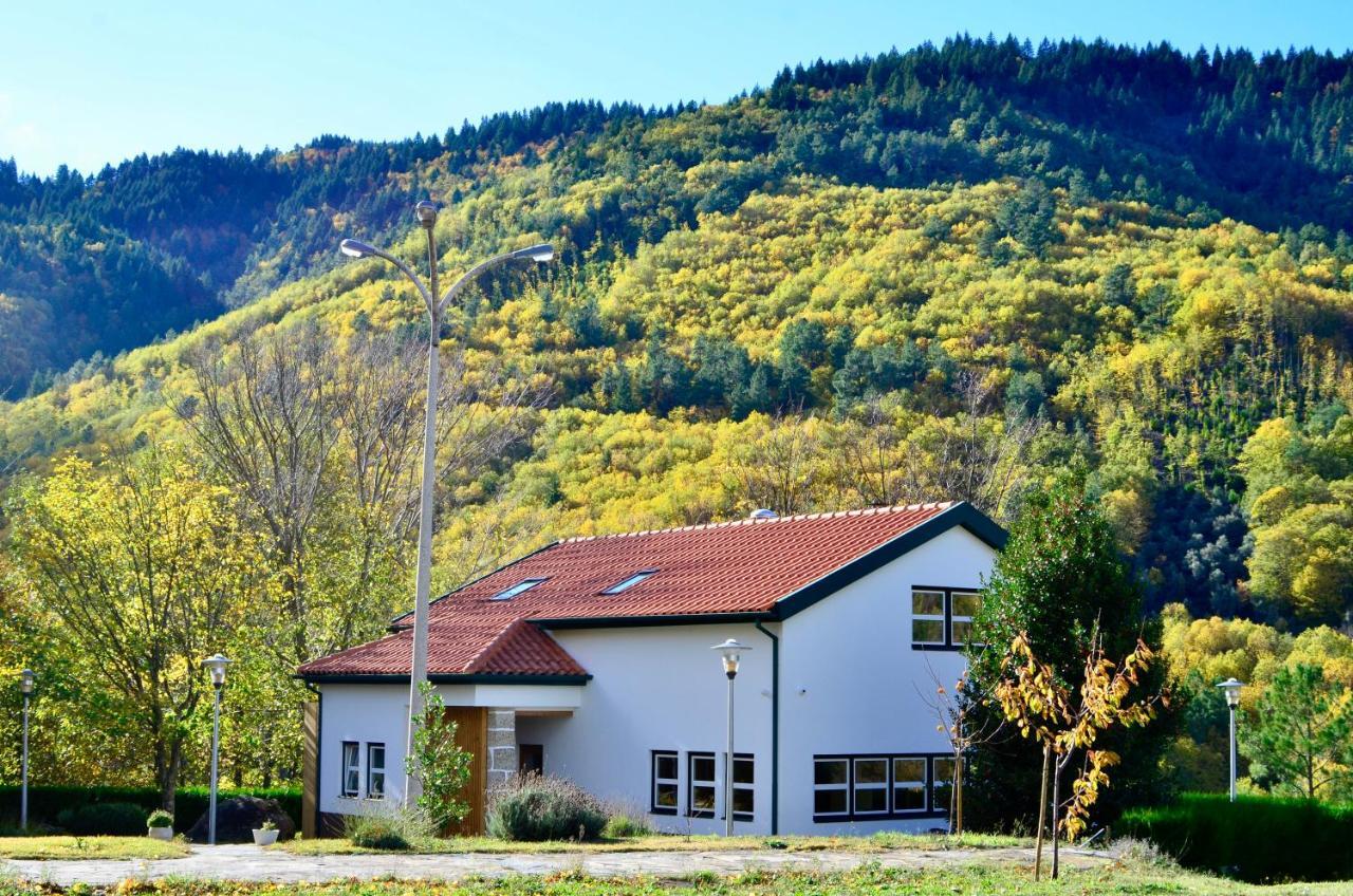 Solar Da Castanha - Forest House Мантейгас Экстерьер фото