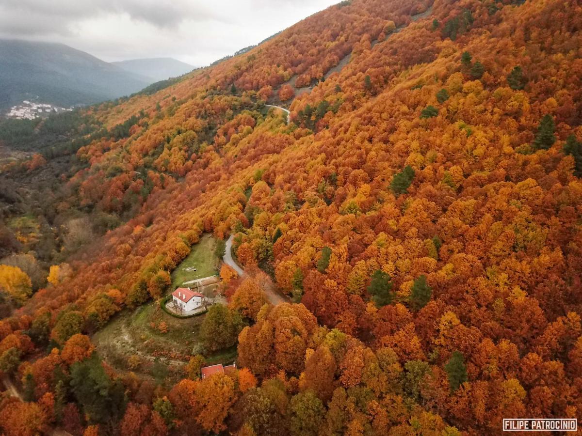 Solar Da Castanha - Forest House Мантейгас Экстерьер фото